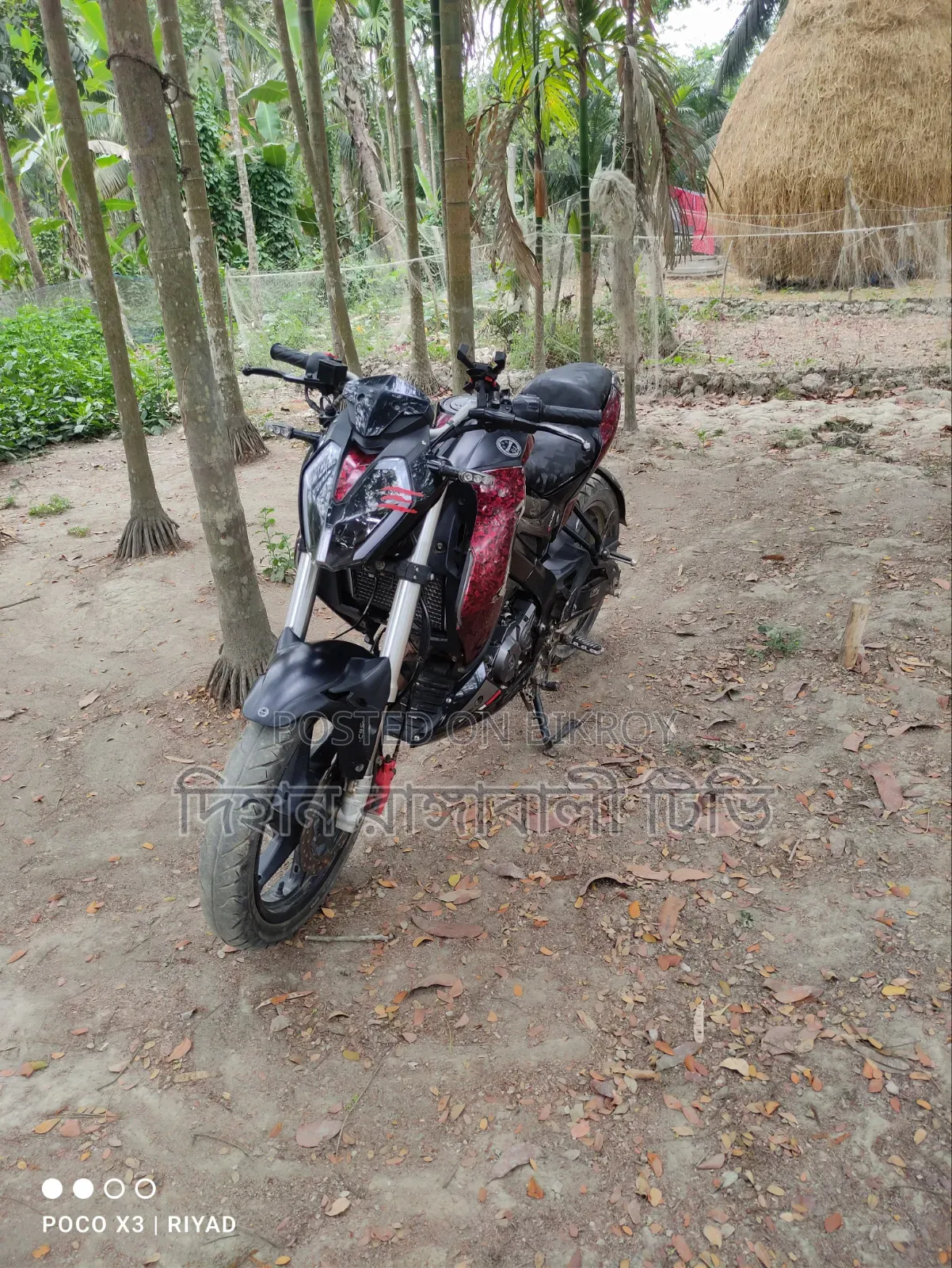 Benelli Riverside Beneli Cobra 2021 Red