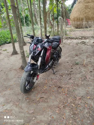 Benelli Riverside Beneli Cobra 2021 Red