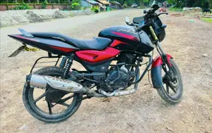 Bajaj Pulsar 150 2010 Red