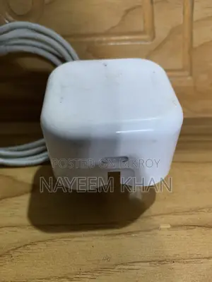 25 Watt Apple Original Charger