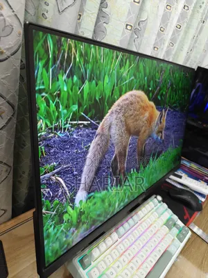 ASUS TUF VG249Q1R 24′′ IPS 165Hz Gaming Monitor