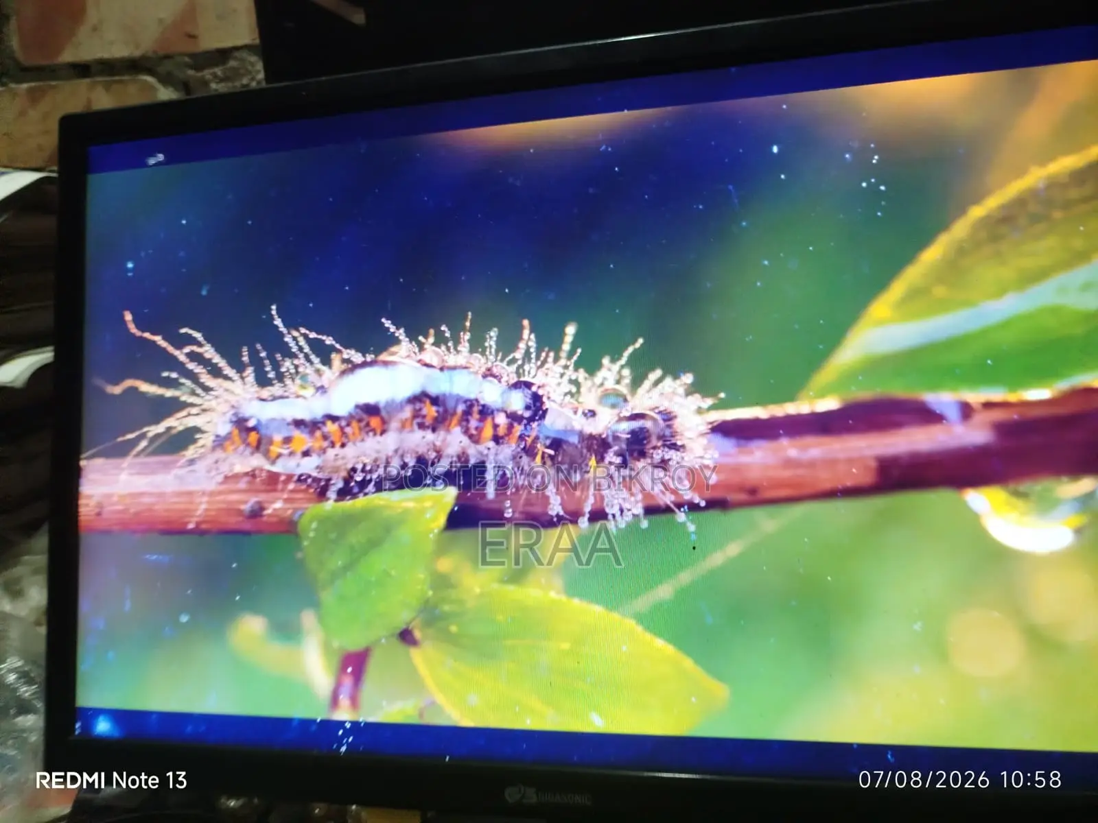 Gigasonic RB-G19S-300C 19" HD LED Monitor