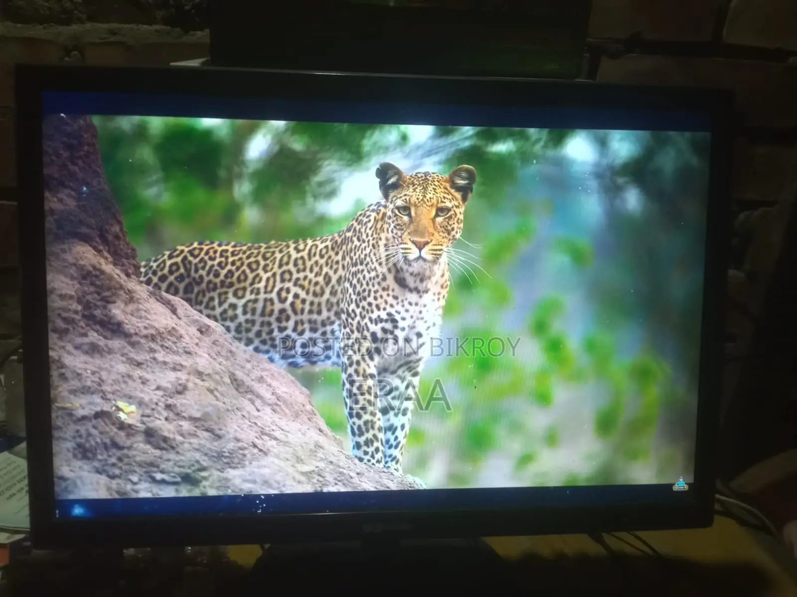 Gigasonic RB-G19S-300C 19" HD LED Monitor