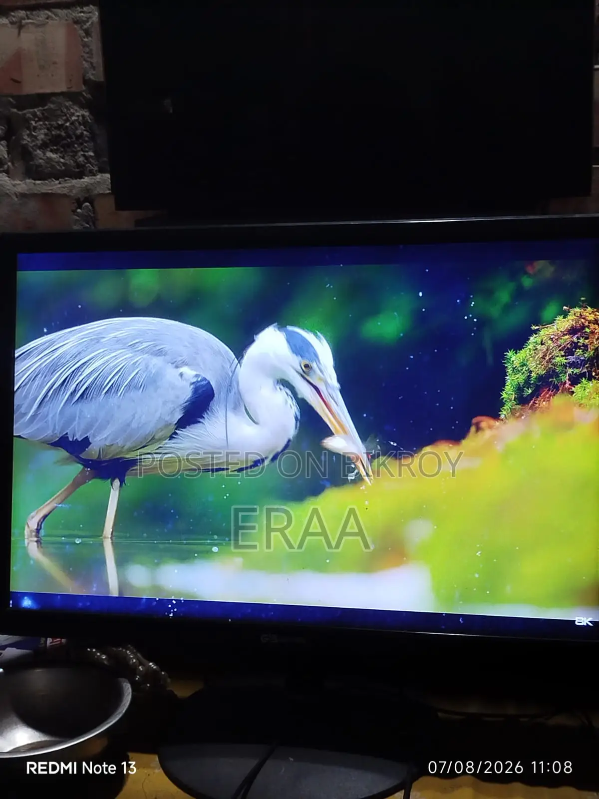 Gigasonic RB-G19S-300C 19" HD LED Monitor
