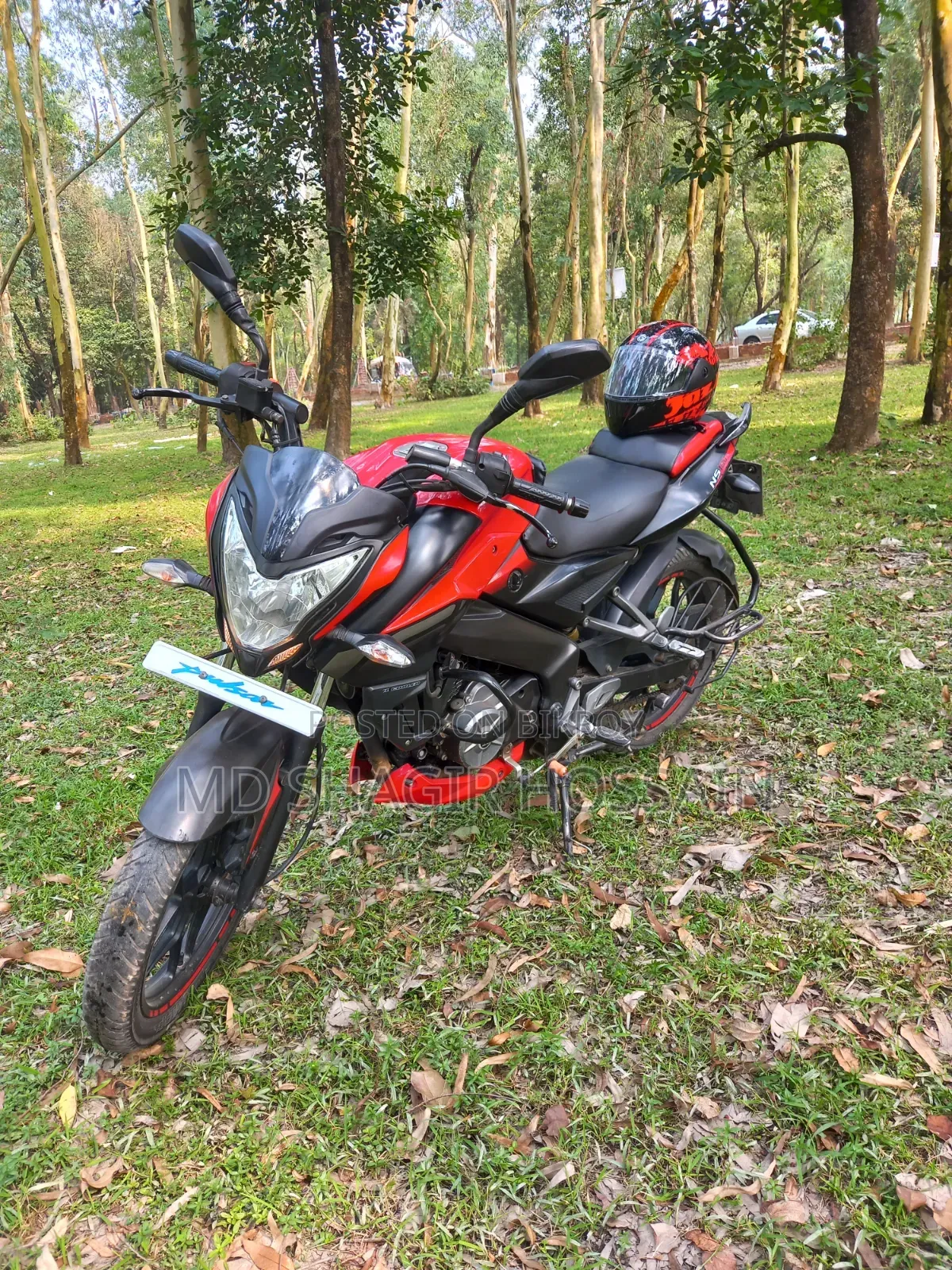 বাজাজ পালসার এনএস ১৬০ ২০১৯ লাল