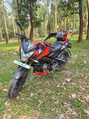 বাজাজ পালসার এনএস ১৬০ ২০১৯ লাল