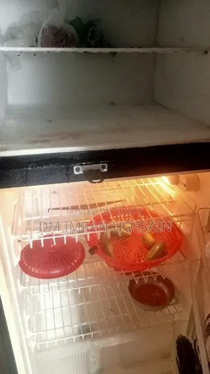 Singer Fridge