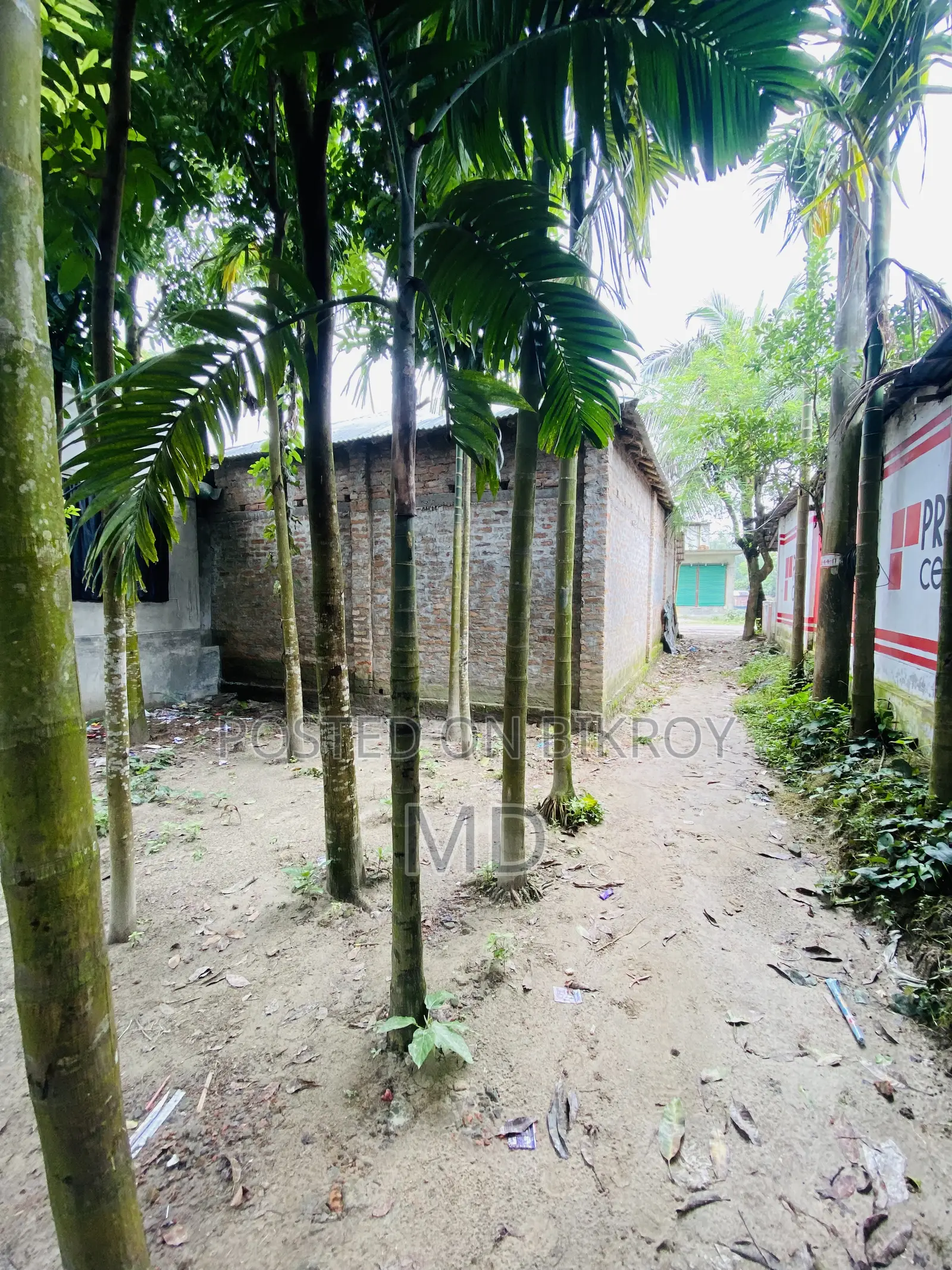 সোনাতলা বালুয়াহাটে রাস্তার পাশেই ১৭.৫ শতক জমি বিক্রয়