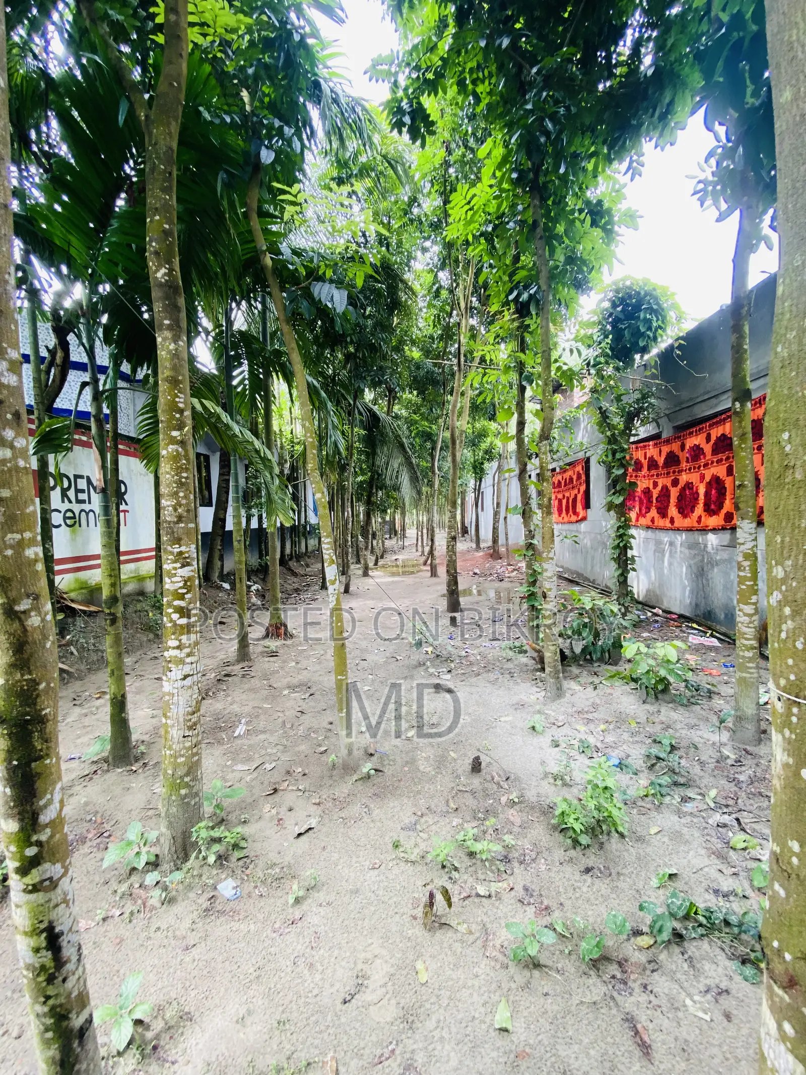 সোনাতলা বালুয়াহাটে রাস্তার পাশেই ১৭.৫ শতক জমি বিক্রয়
