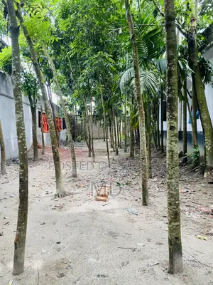সোনাতলা বালুয়াহাটে রাস্তার পাশেই ১৭.৫ শতক জমি বিক্রয়