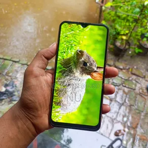 ভিভো ওয়াই ১৭ ২৫৬ জিবি