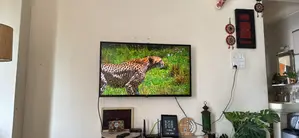 এলজি ইউএন৭৩০০ ইউএইচডি ৪কে টিভি