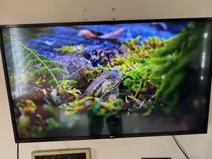 এলজি ইউএন৭৩০০ ইউএইচডি ৪কে টিভি