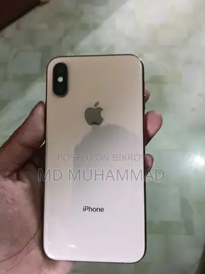 অ্যাপল আইফোন এক্সএস ২৫৬ জিবি রোজ গোল্ড
