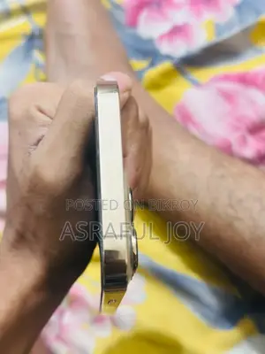 অ্যাপল আইফোন ১৩ প্রো ১২৮ জিবি রোজ গোল্ড