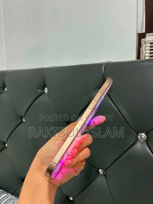অ্যাপল আইফোন ১৬ প্রো ম্যাক্স ২৫৬ জিবি রোজ গোল্ড