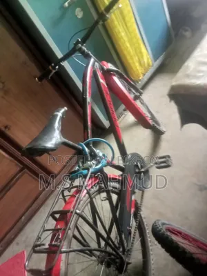 প্রিন্স ভেগাস ১.০ বাইসাইকেল (মেধনা গ্রুপ দ্বারা তৈরিকৃত)