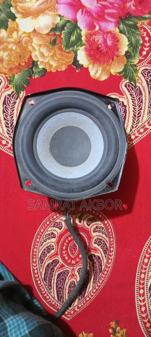 Subwoofer Speaker