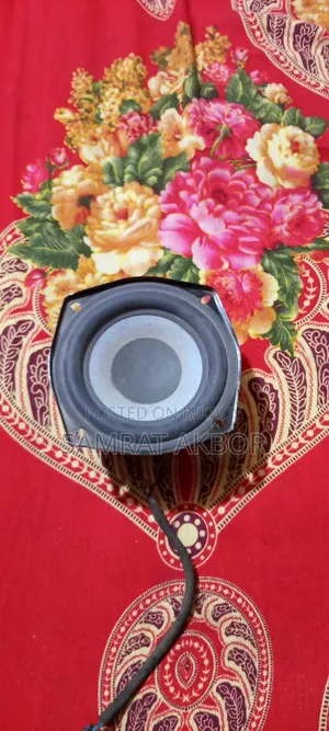Subwoofer Speaker