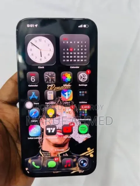 Apple iPhone 13 Pro Max 256 GB Green