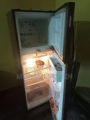 এলজি বিগ ফ্রিজ