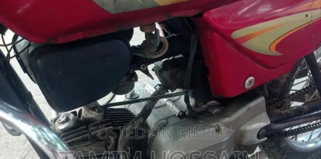 Hero Splendor 110 2001 Red