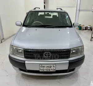 Toyota Probox 1.5 CNG 2WD 2010 Silver