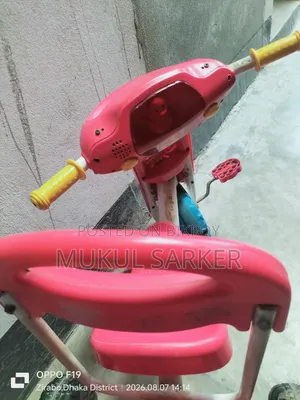 RFL Pink Tricycle for Kids 2-5 Years