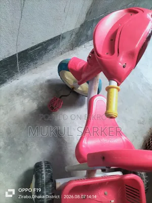 RFL Pink Tricycle for Kids 2-5 Years