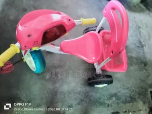 RFL Pink Tricycle for Kids 2-5 Years