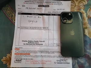 Apple iPhone 13 Pro 256 GB Gray