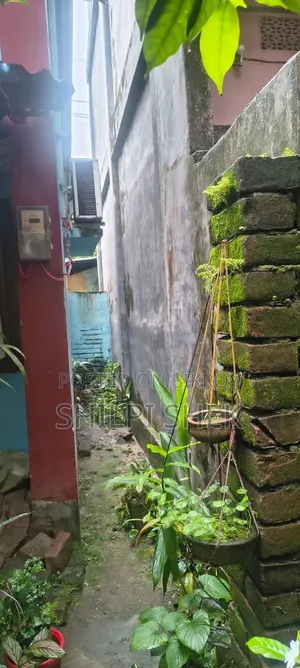 ৩ বেডরুম হাউস ইন পৌরসভা ৯ নং ওয়ার্ড, দিনাজপুর সদর ফর সেল