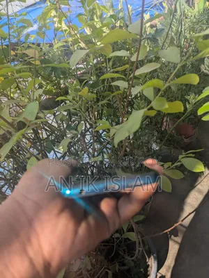 Xiaomi Poco M2 Pro 64 GB Blue