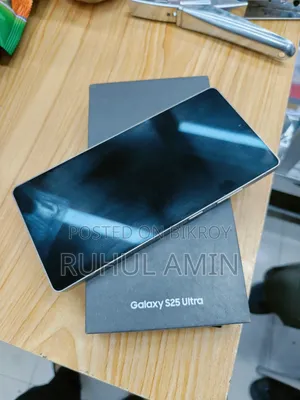 Samsung Galaxy S25 Ultra 256 GB Gray
