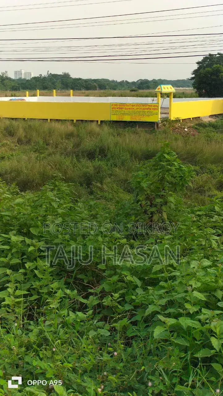 জমির শেয়ার
