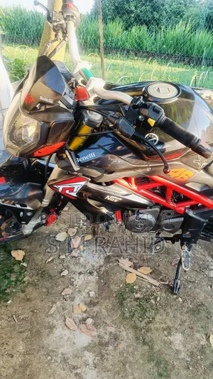 Benelli 2022 Black