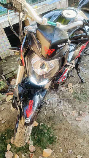 Benelli 2022 Black