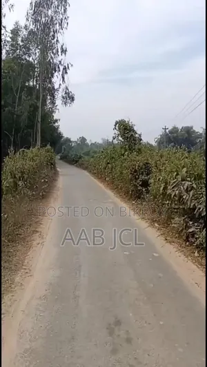 বড় নিষ্কন্ঠক জমি বিক্রয় হবে