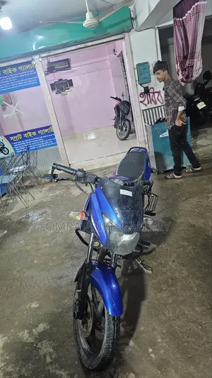 বাজাজ পালসার ১৫০ ২০১৩ গ্রে