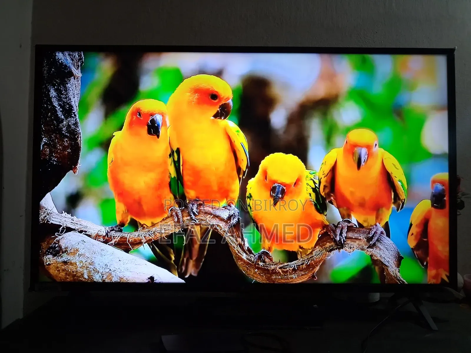 LG 43 Inch UHD Smart TV (43UN73) – AI ThinQ | webOS | Excellent