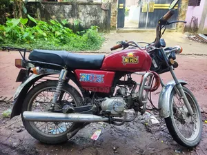 জংশেন ইডি ৮০ ২০১৭ লাল