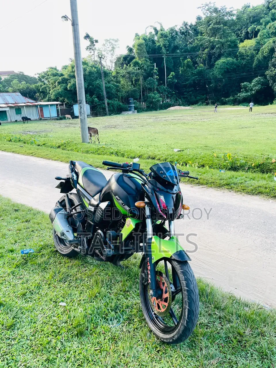 Yamaha FZ 2010 Black