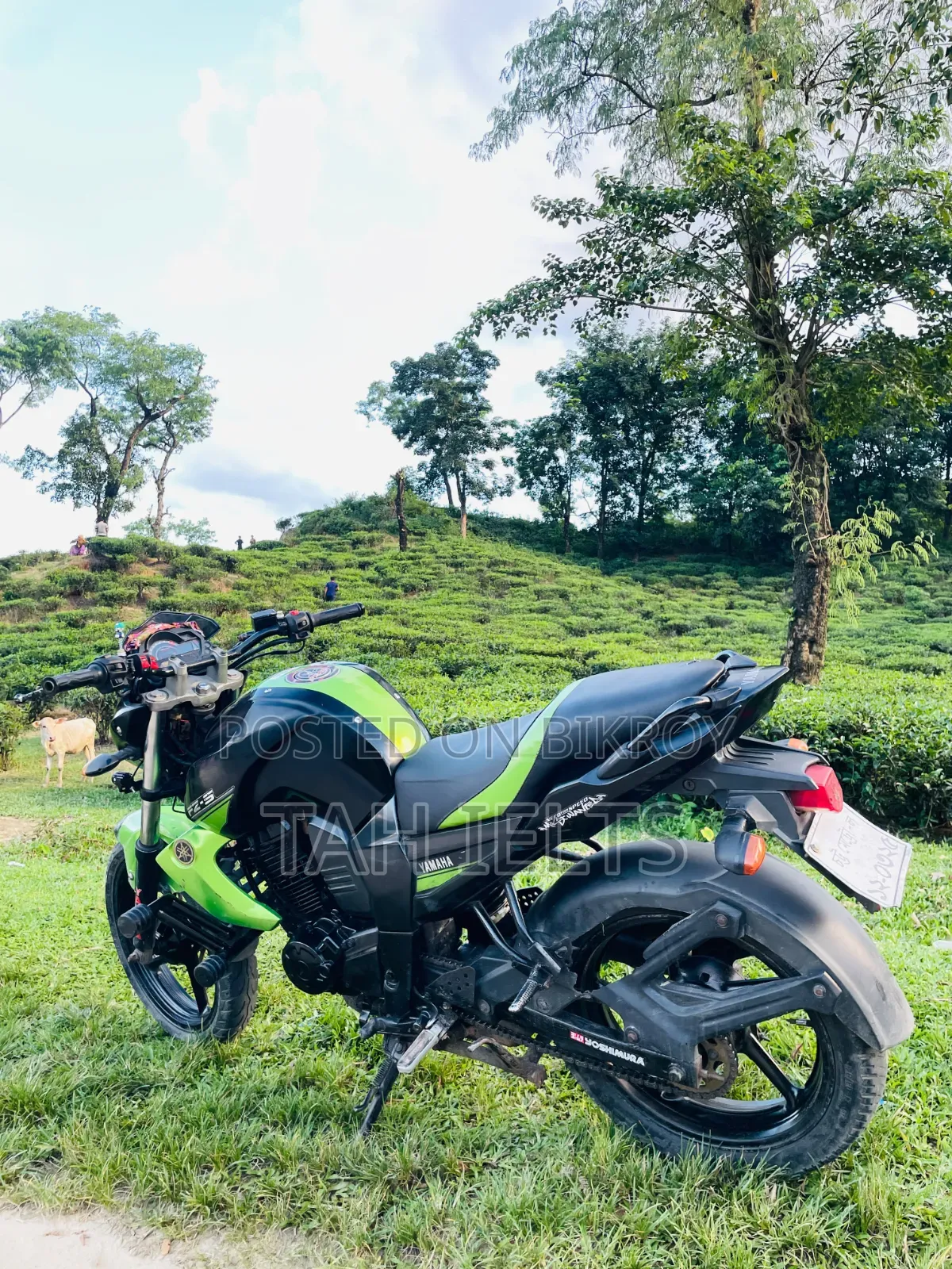 Yamaha FZ 2010 Black