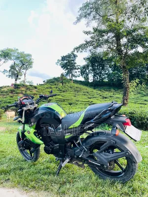 Yamaha FZ 2010 Black
