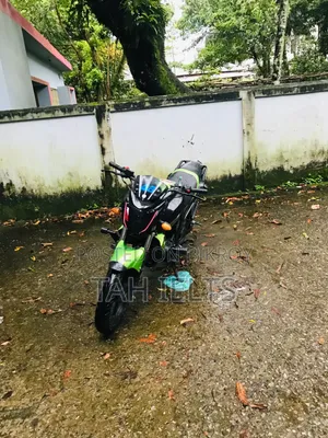 Yamaha FZ 2010 Black