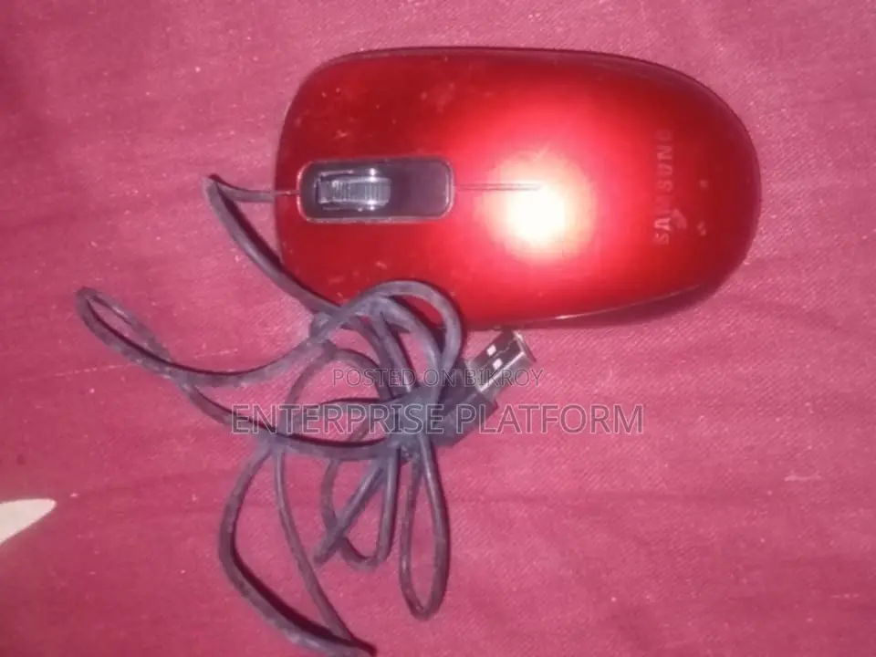 Mouse