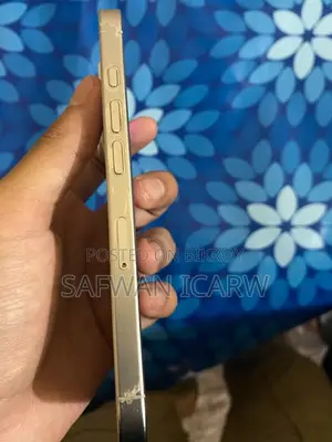 Apple iPhone 16 Pro 256 GB White