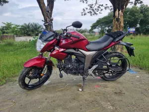 সুজুকি জিক্সার ২০১৯ লাল