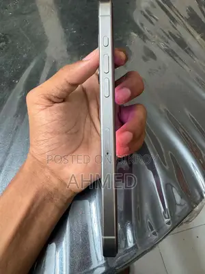 Apple iPhone 15 Pro Max 256 GB