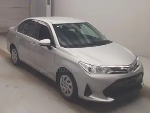 Toyota Axio 2021 Silver